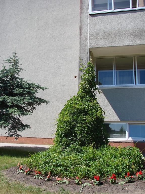Pas Roma Hotel Šventoji Exterior foto